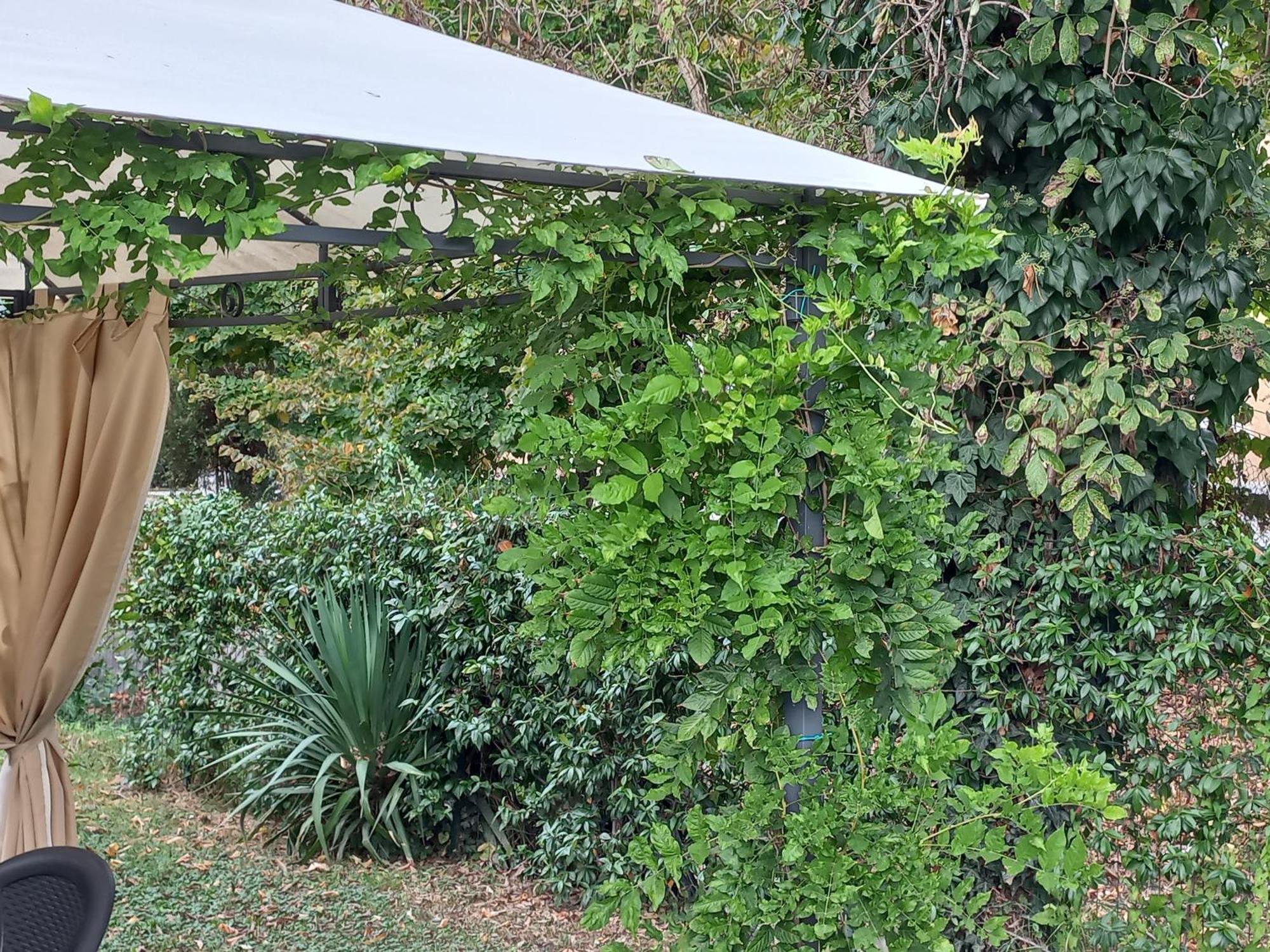 Appartamento Le Magnolie 2 Μέστρε Εξωτερικό φωτογραφία