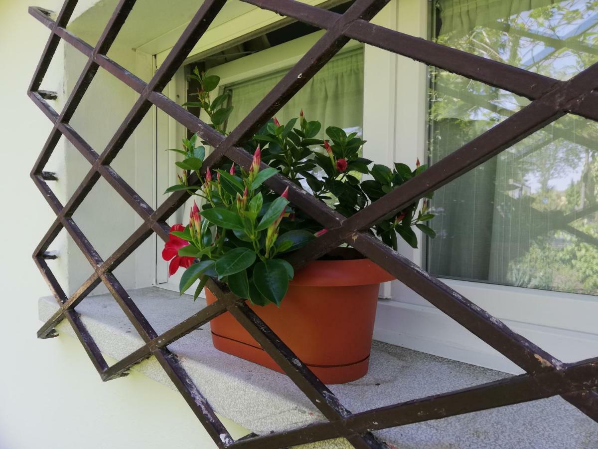Appartamento Le Magnolie 2 Μέστρε Εξωτερικό φωτογραφία